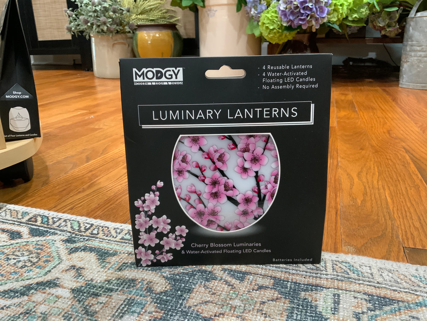 Luminaries / Lanterns