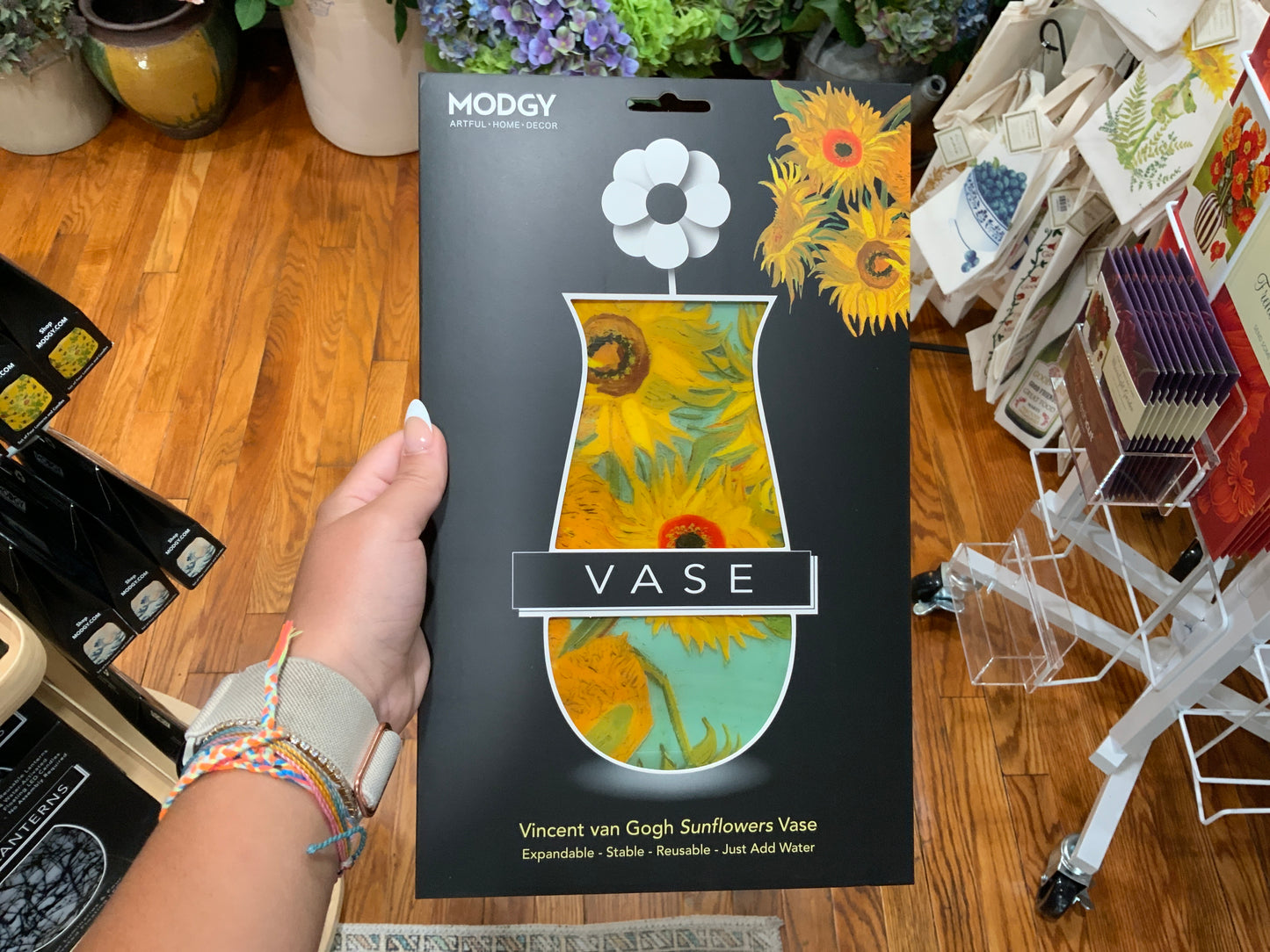 Modgy Vases