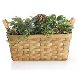 BASKET DOUBLE 6" WOOD CHIP