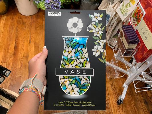 Modgy Vases