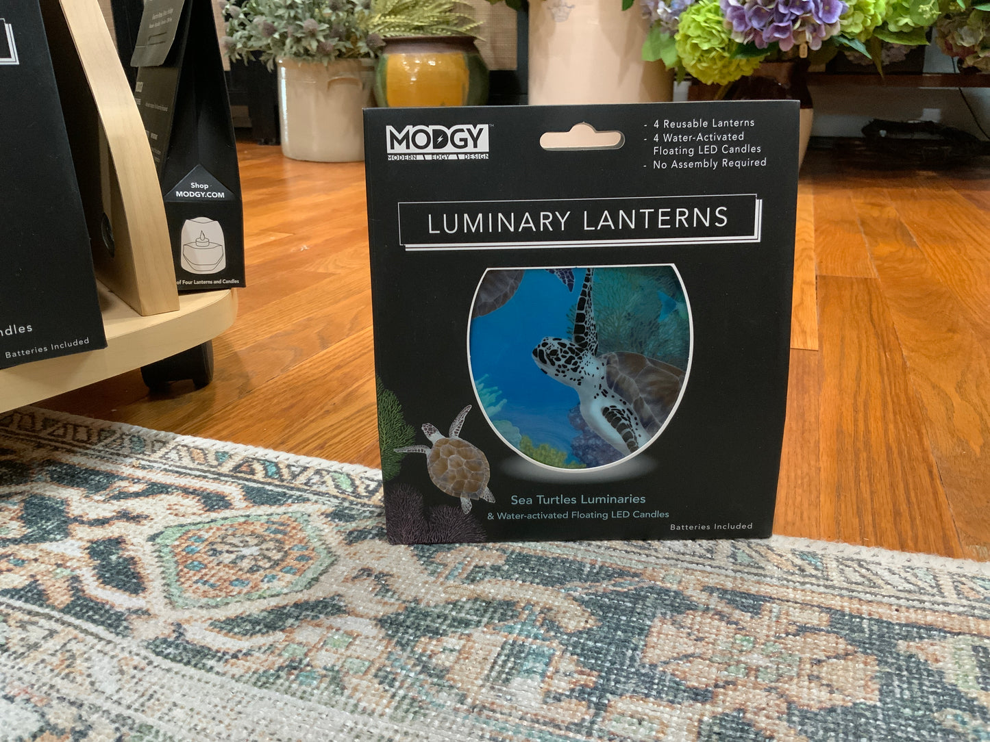 Luminaries / Lanterns