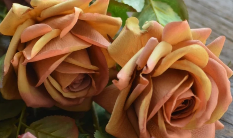 Premium Large Bloom Real Touch Rose Stem