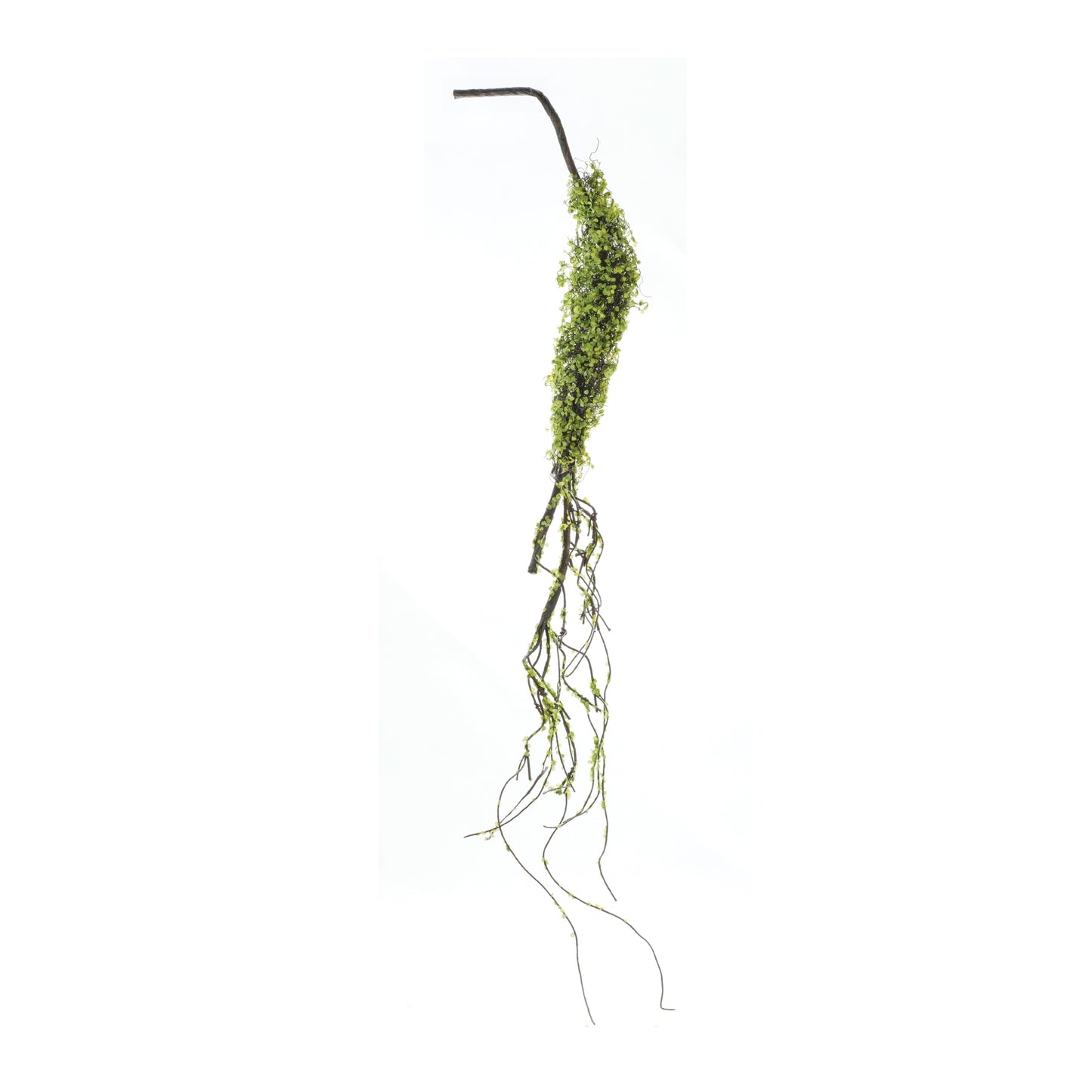 Green Foliage Vine
