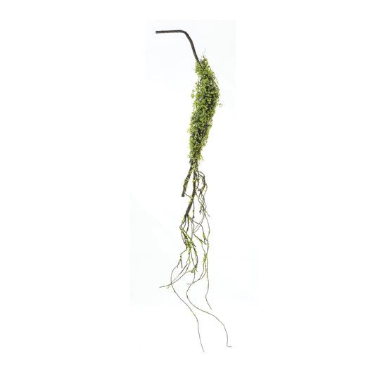 Green Foliage Vine