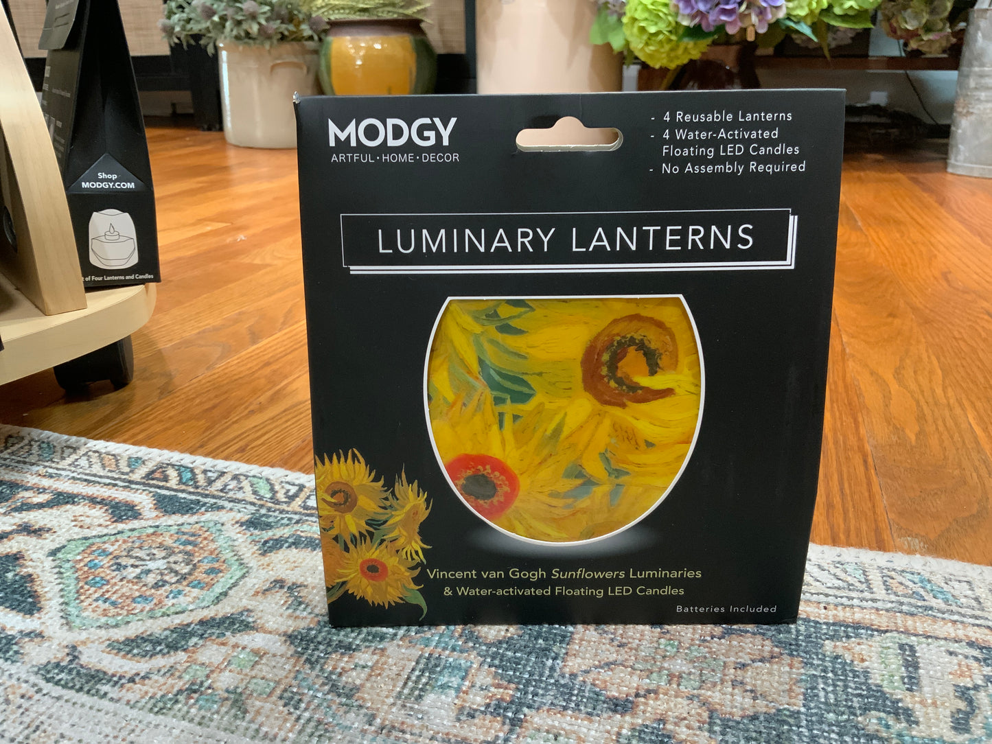 Luminaries / Lanterns