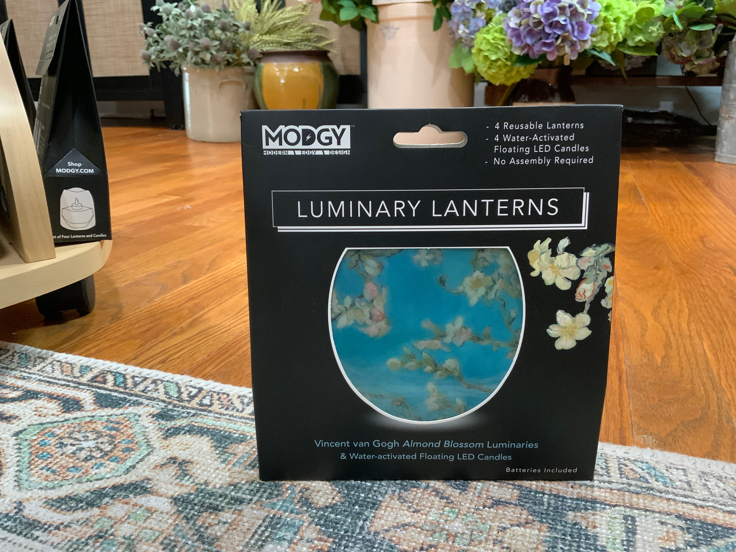 Luminaries / Lanterns