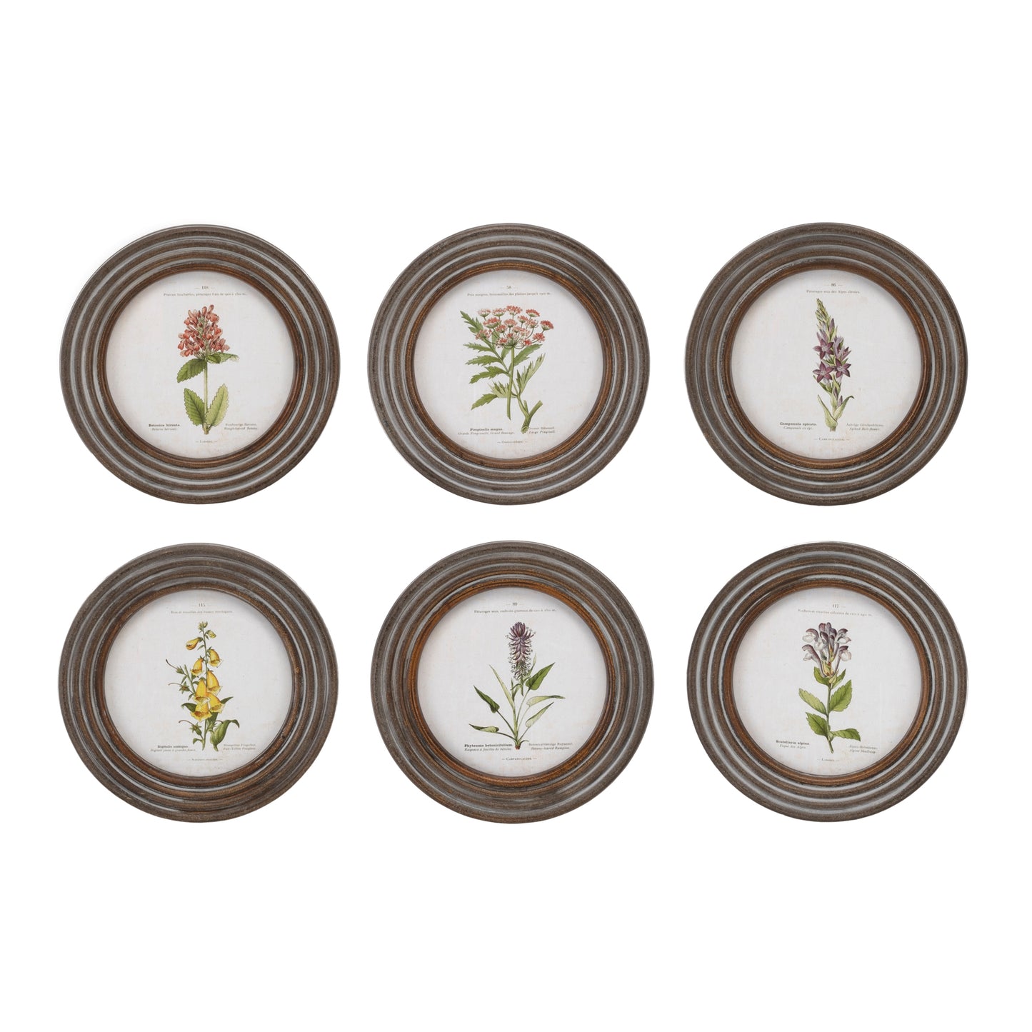 Round Framed Floral Print