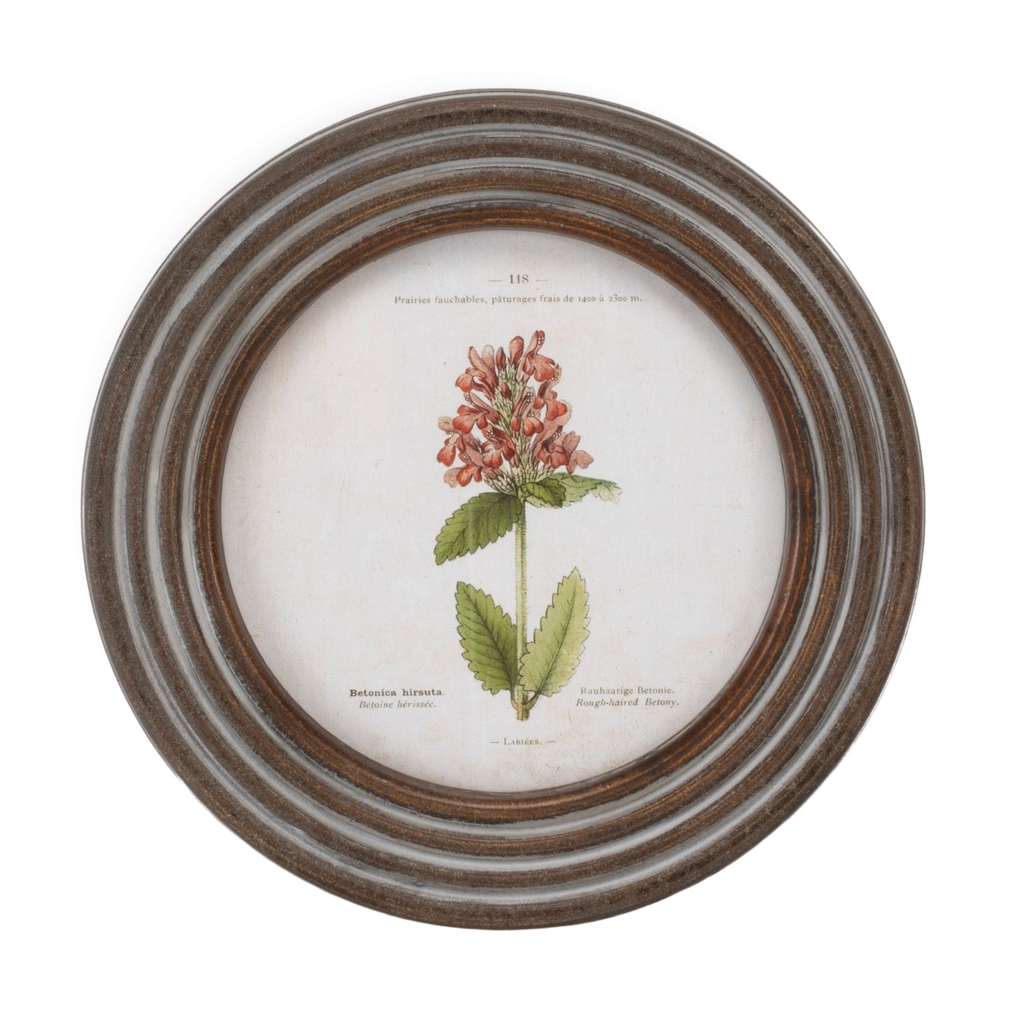 Round Framed Floral Print