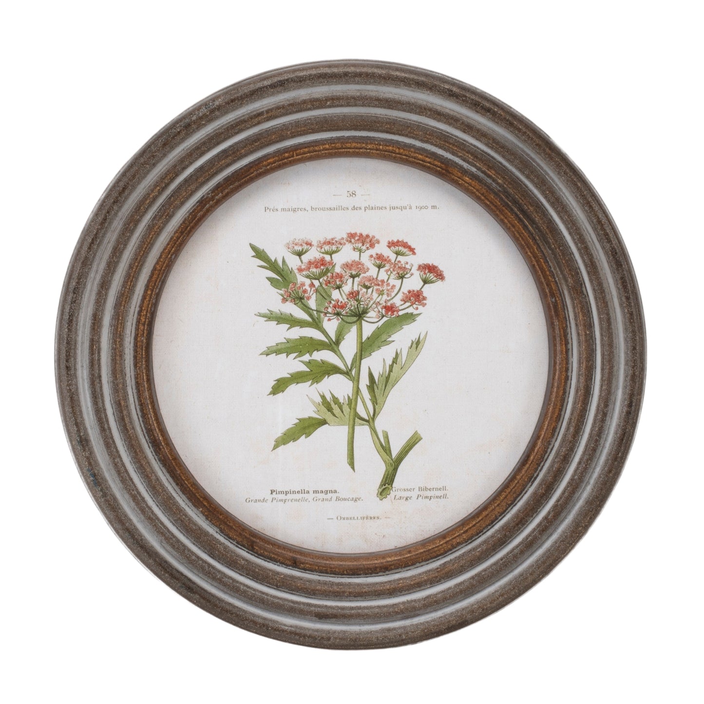 Round Framed Floral Print