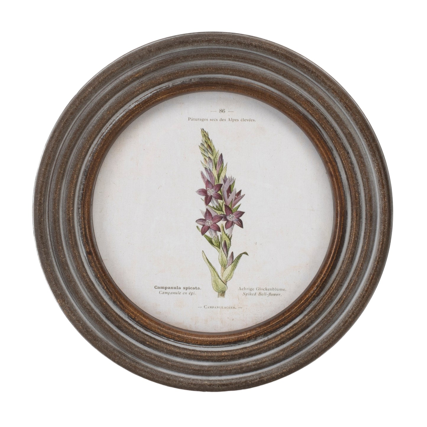 Round Framed Floral Print