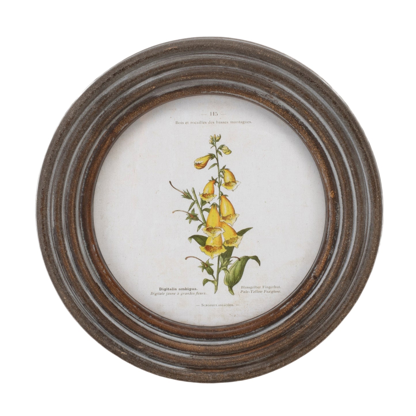 Round Framed Floral Print