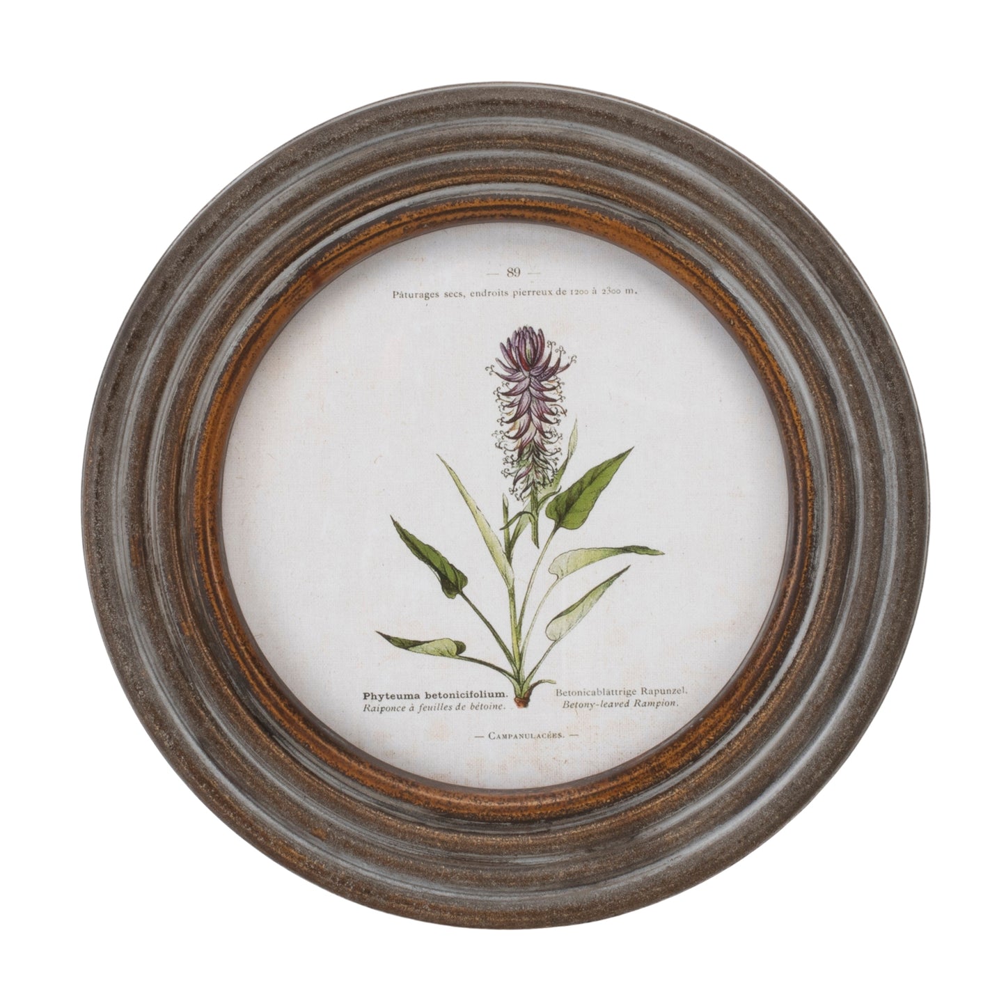 Round Framed Floral Print