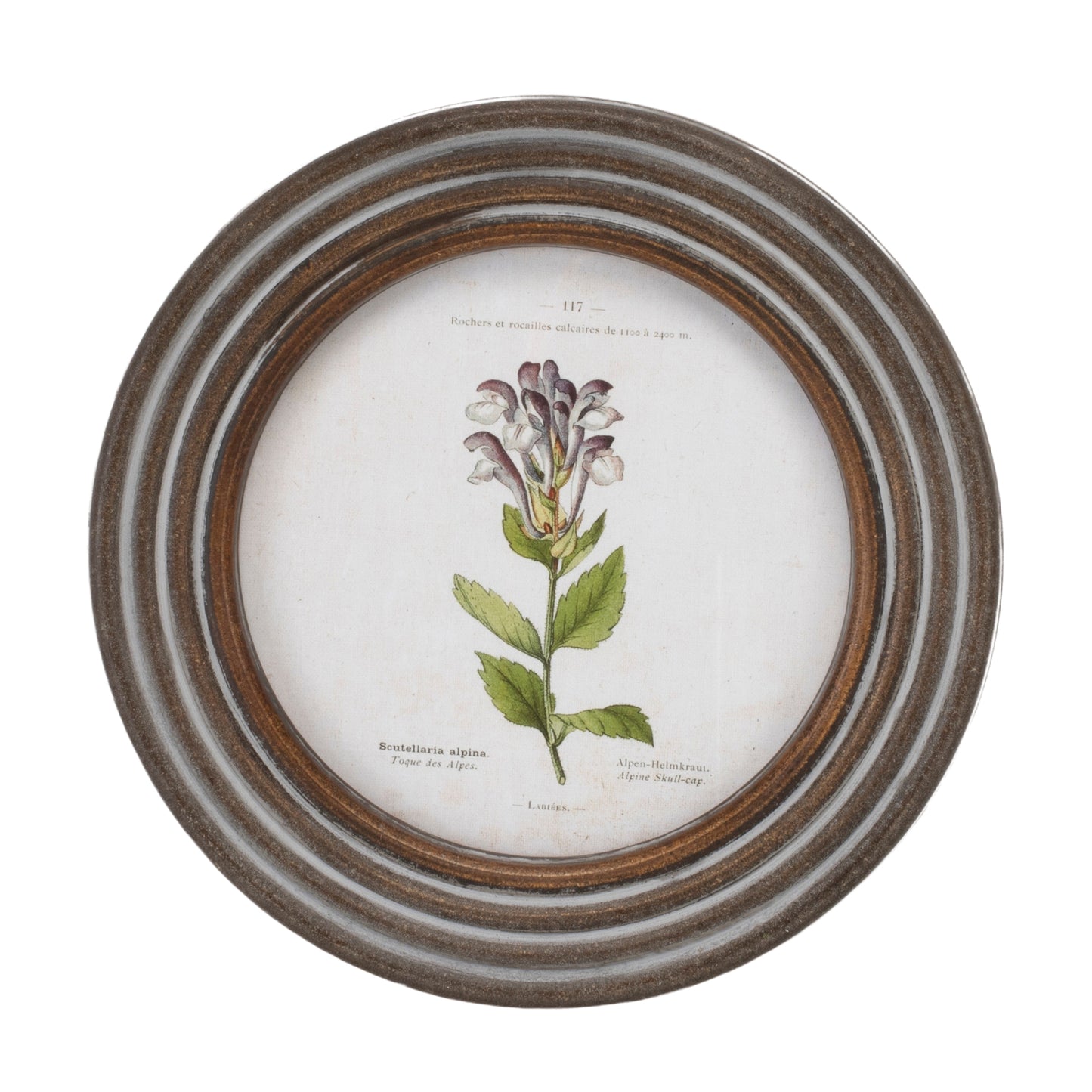 Round Framed Floral Print