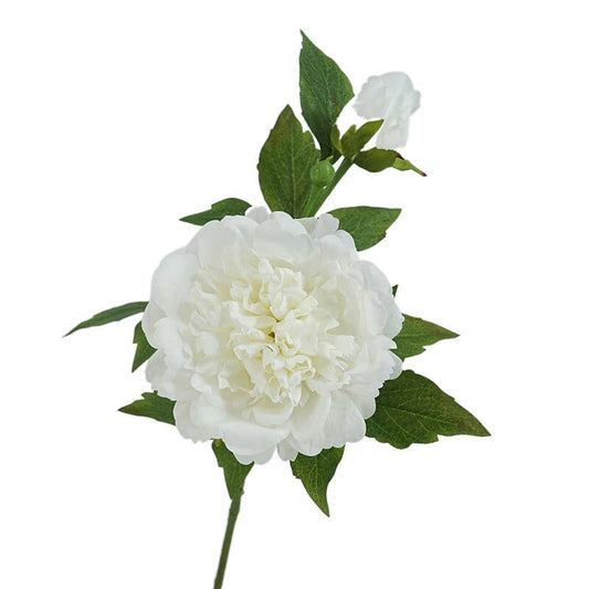 25.5"- Real Touch Peony Stem-2 Blooms