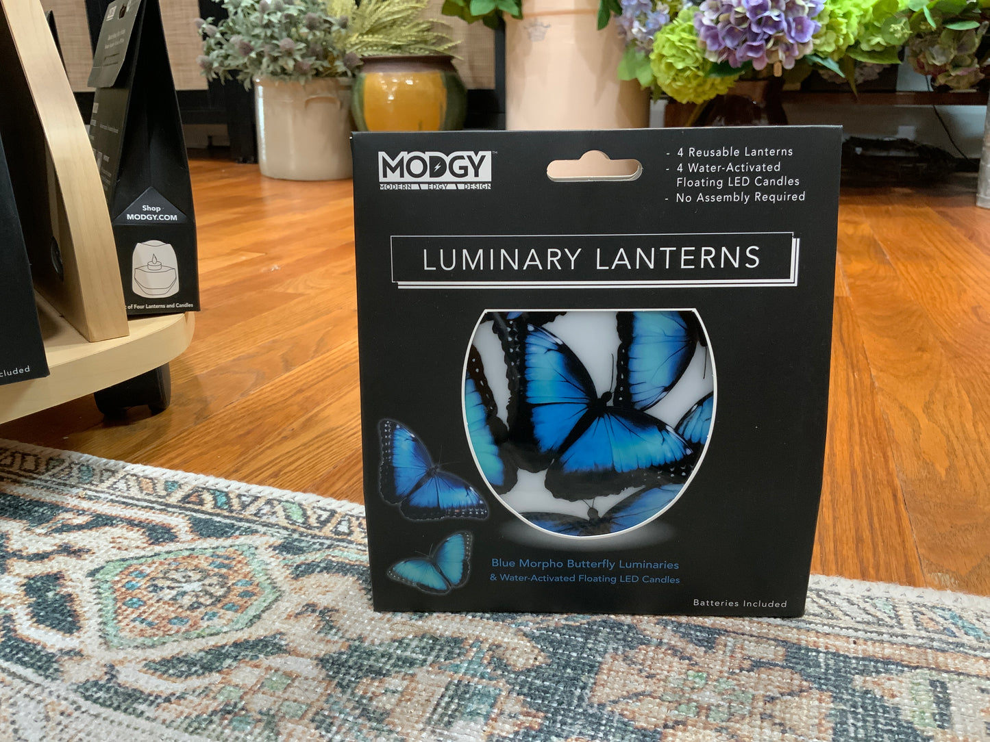Luminaries / Lanterns
