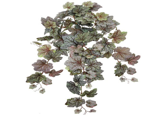 HANGING REX BEGONIA PLANT X94 24"