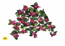 25" UV Hanging Bouganvilla Plant