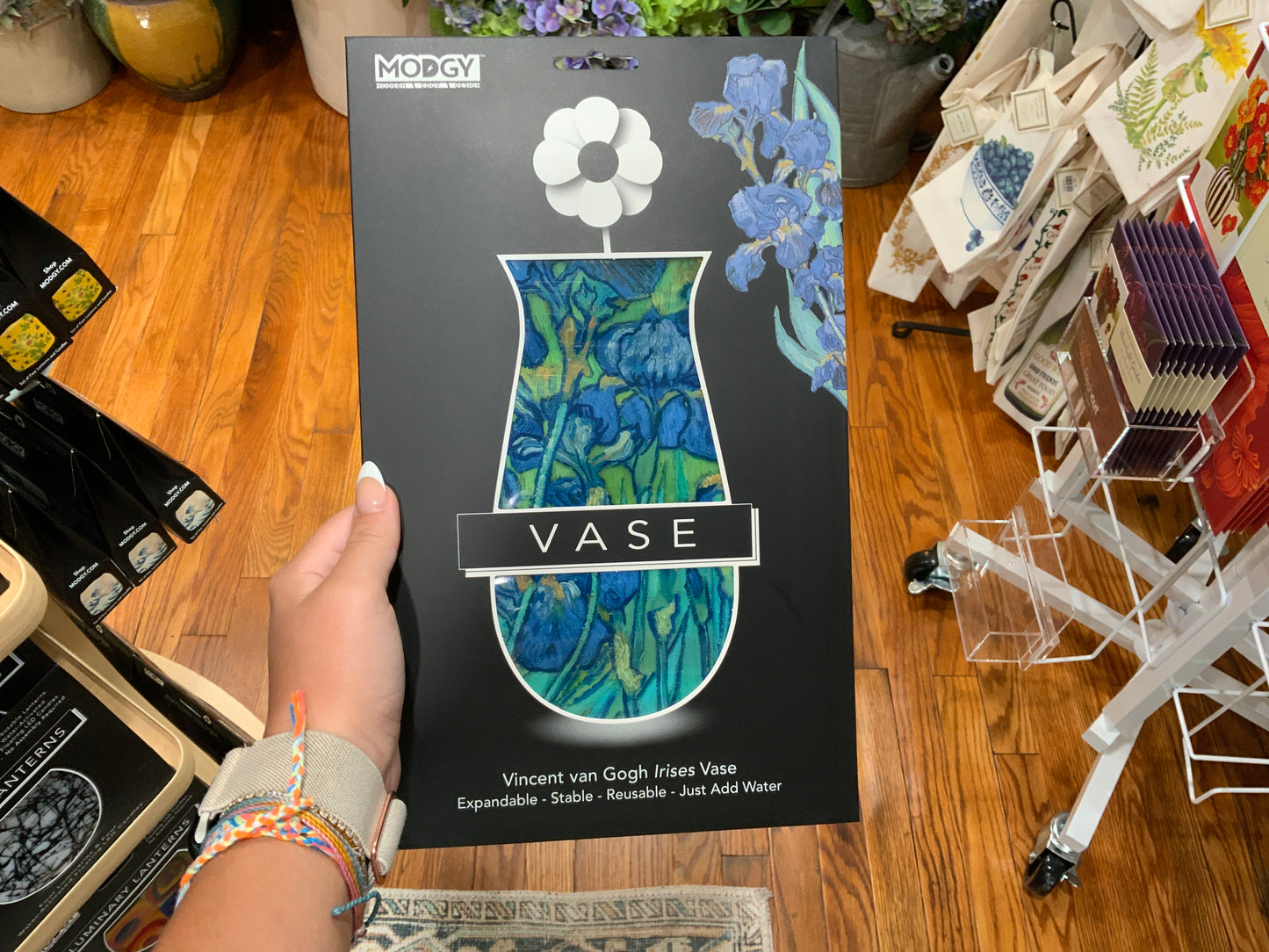 Modgy Vases