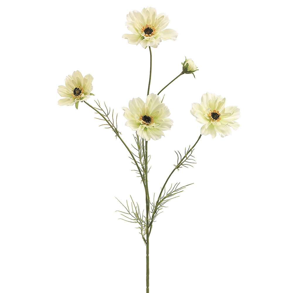 32" Cosmos Spray