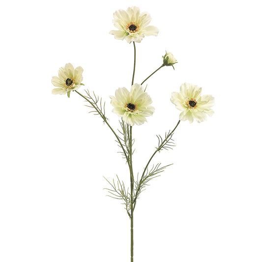 32" Cosmos Spray
