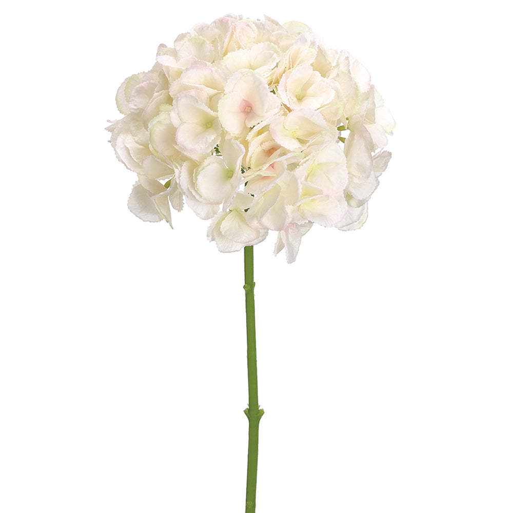 19" Cream Hydrangea Spray