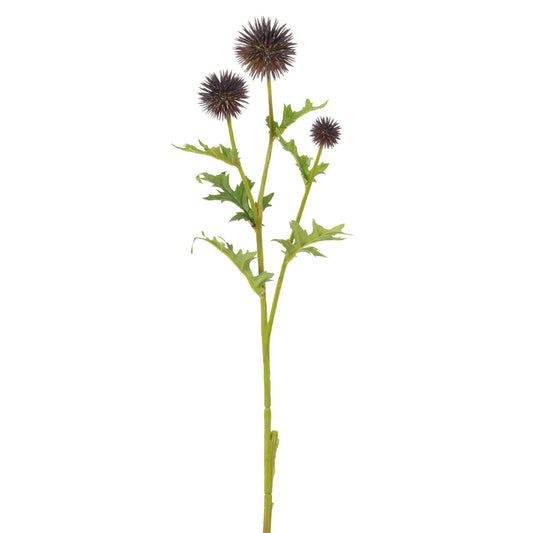 28" Globe Thistle Spray