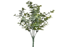 Frosted Eucalyptus Bush