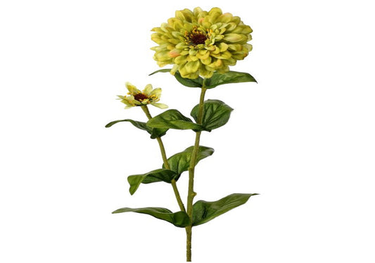 GARDEN ZINNIA + BUD 30"