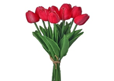 EVA Dutch Tulip Bundle