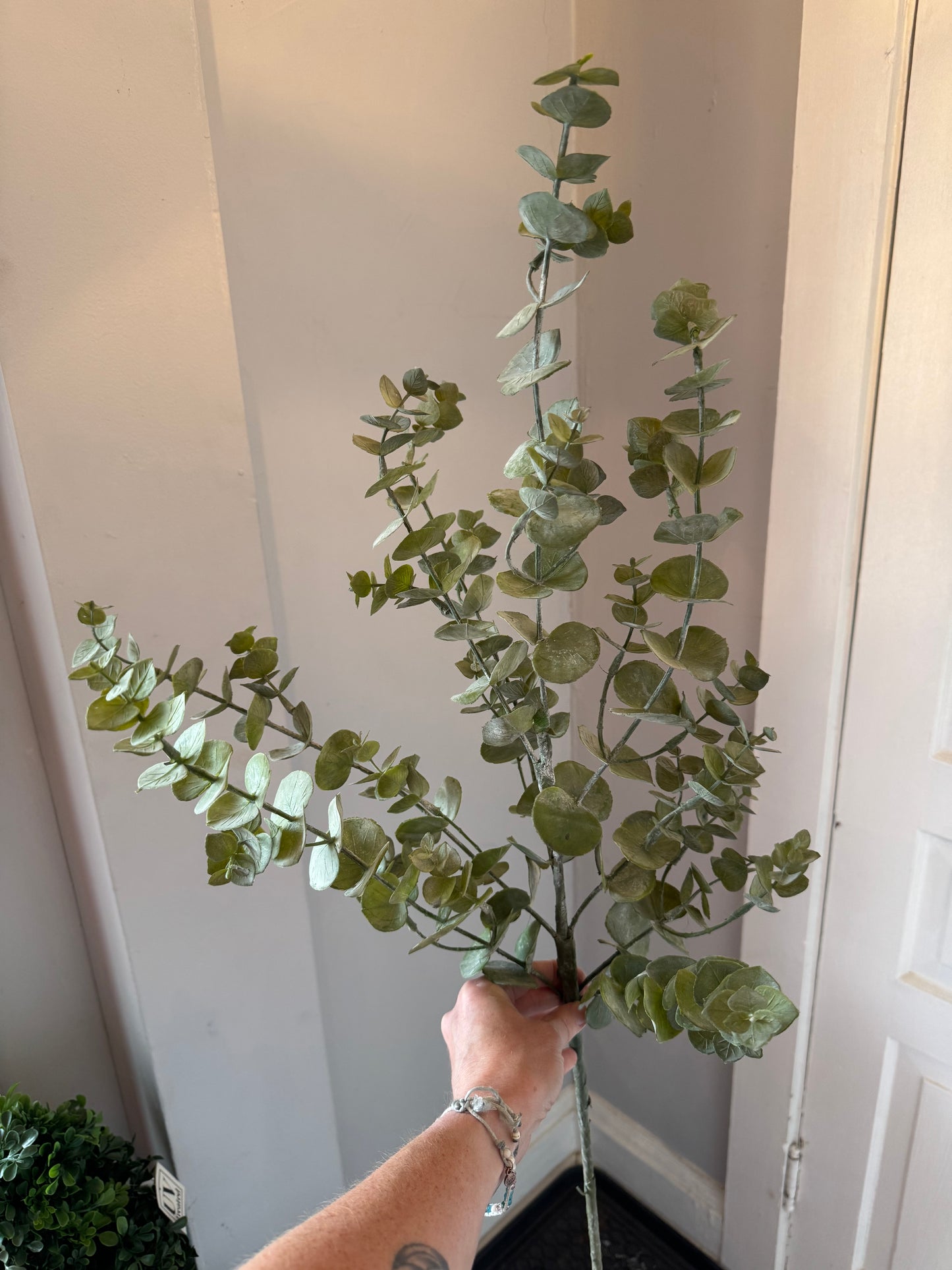 Eucalyptus Branch (44")