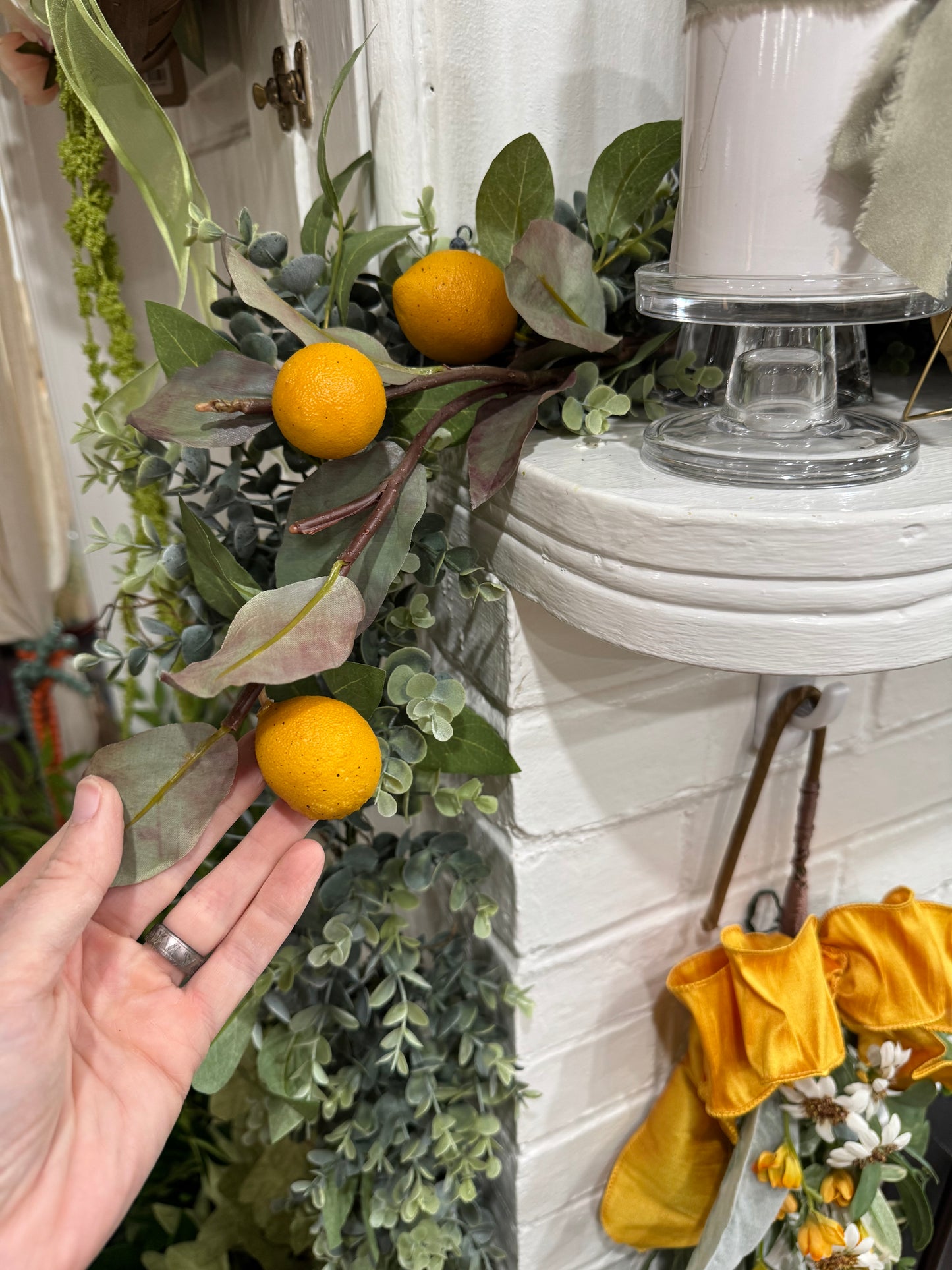Dry Lemon Branch