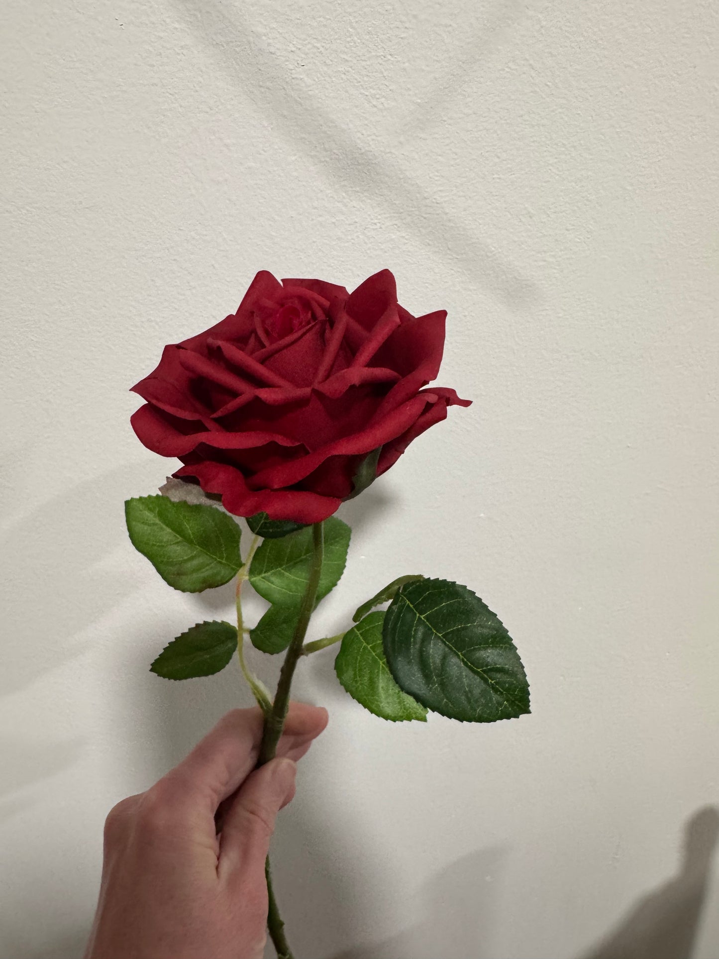 Real Touch Artificial garden Rose