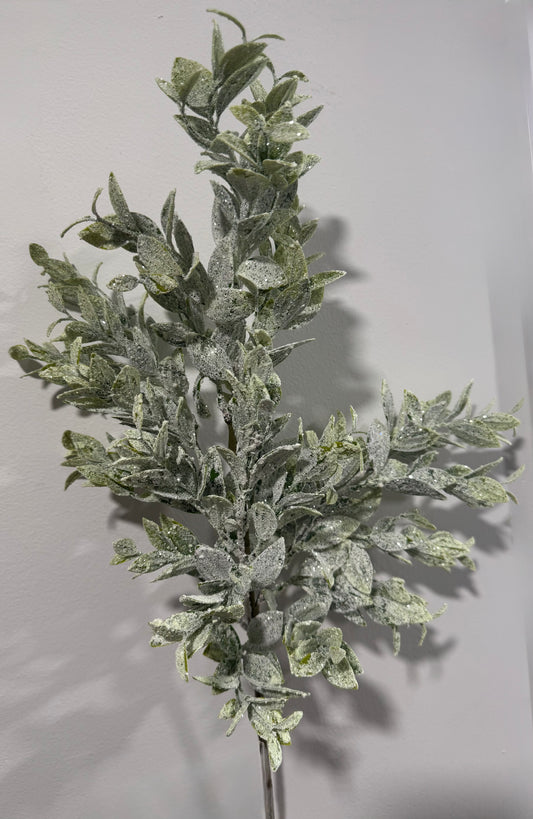 Frosted Eucalyptus Spray