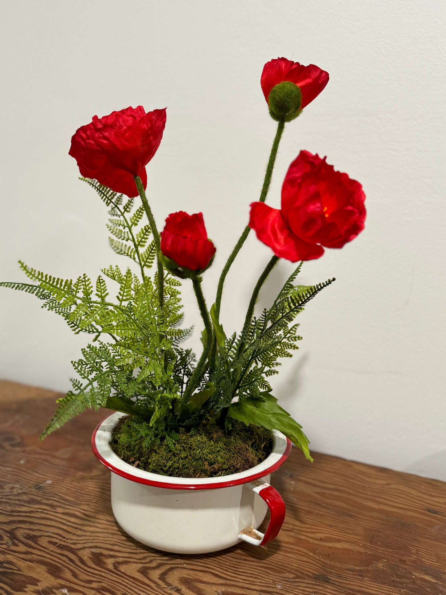 Potted Poppies and Fern