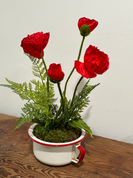 Potted Poppies and Fern