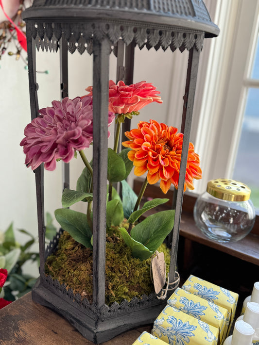 Garden Zinnias in Antiqued Lantern