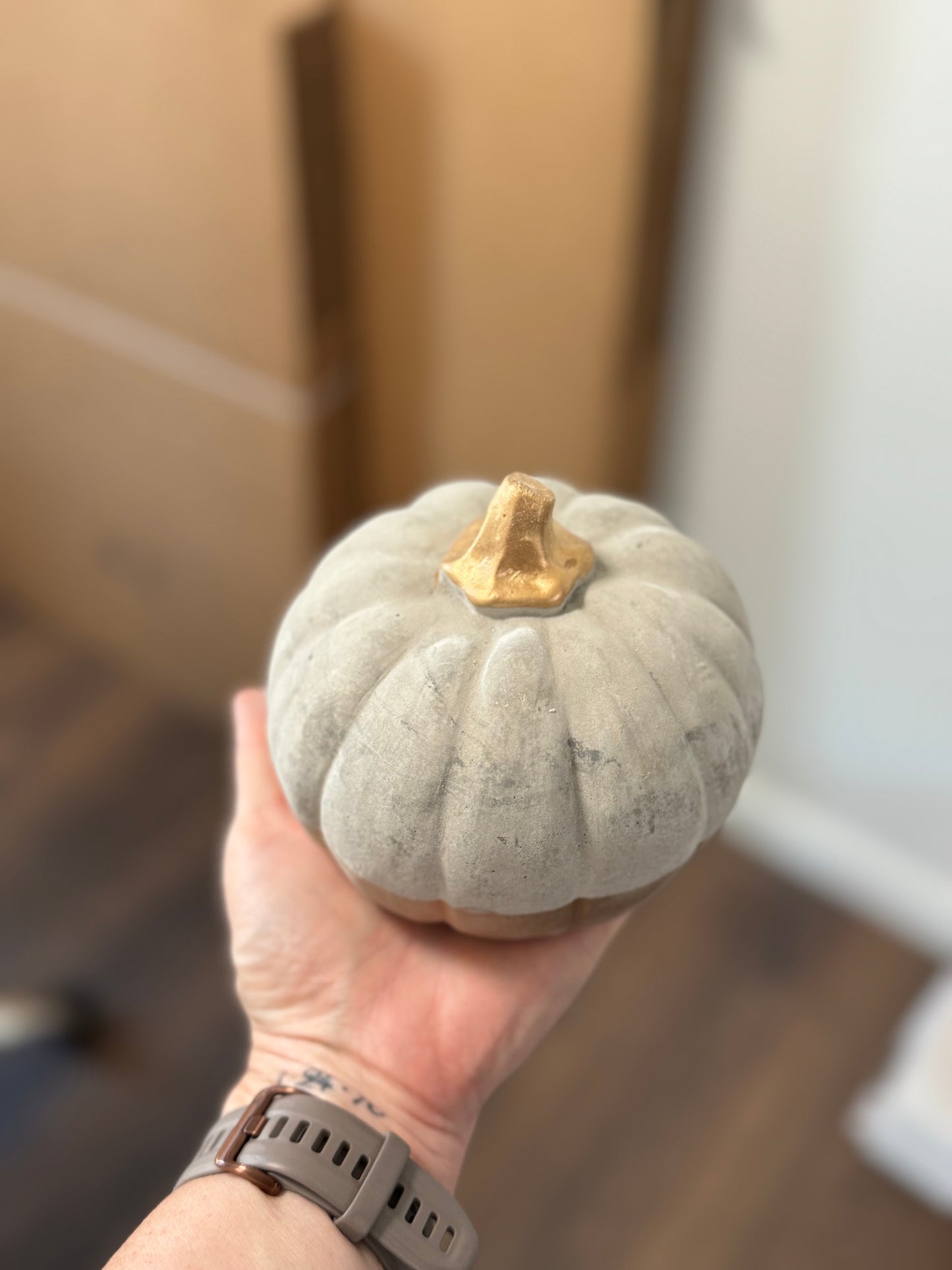 Concrete Pumpkin with gold accent