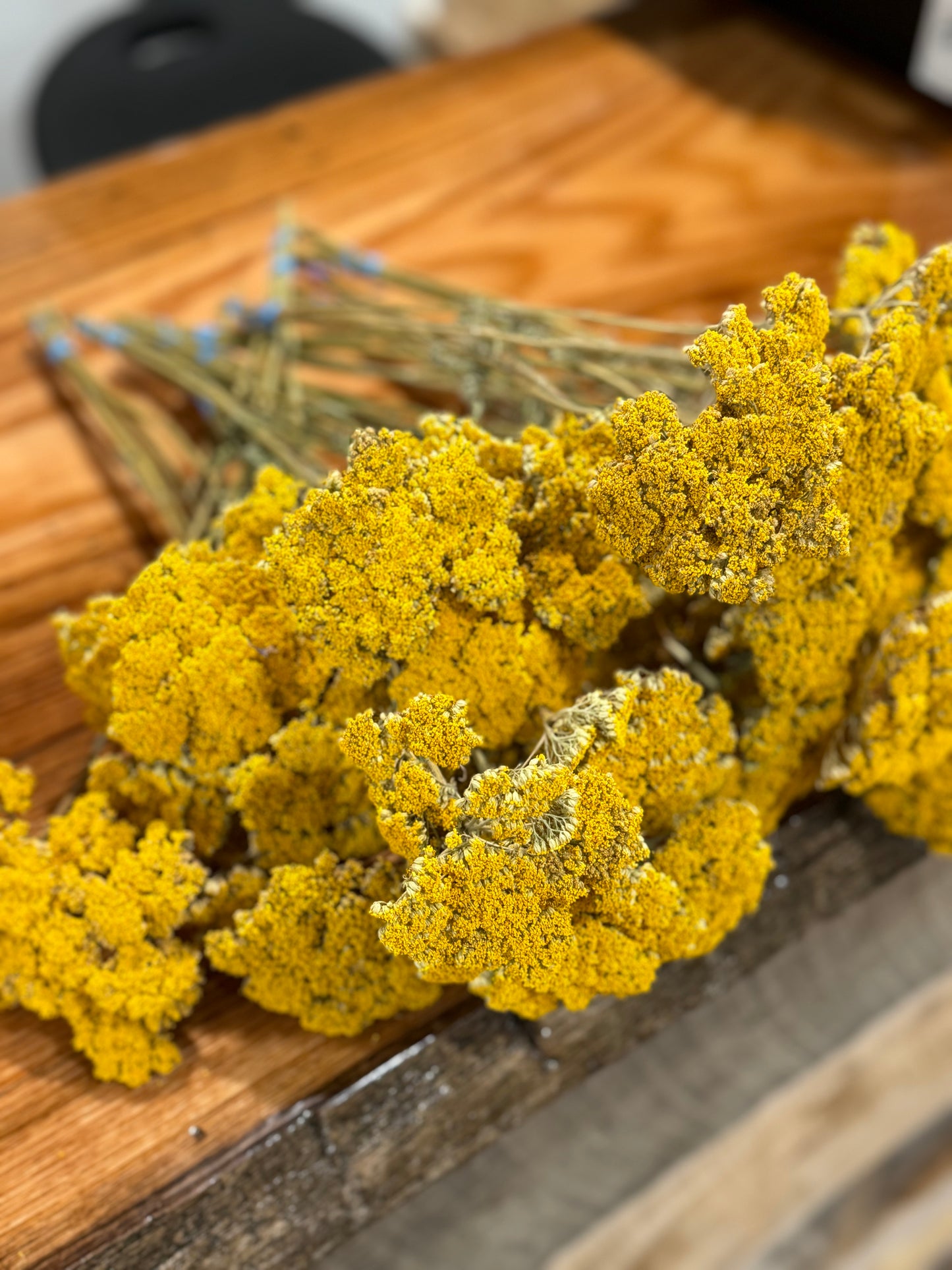 Dried Yarrow bunch