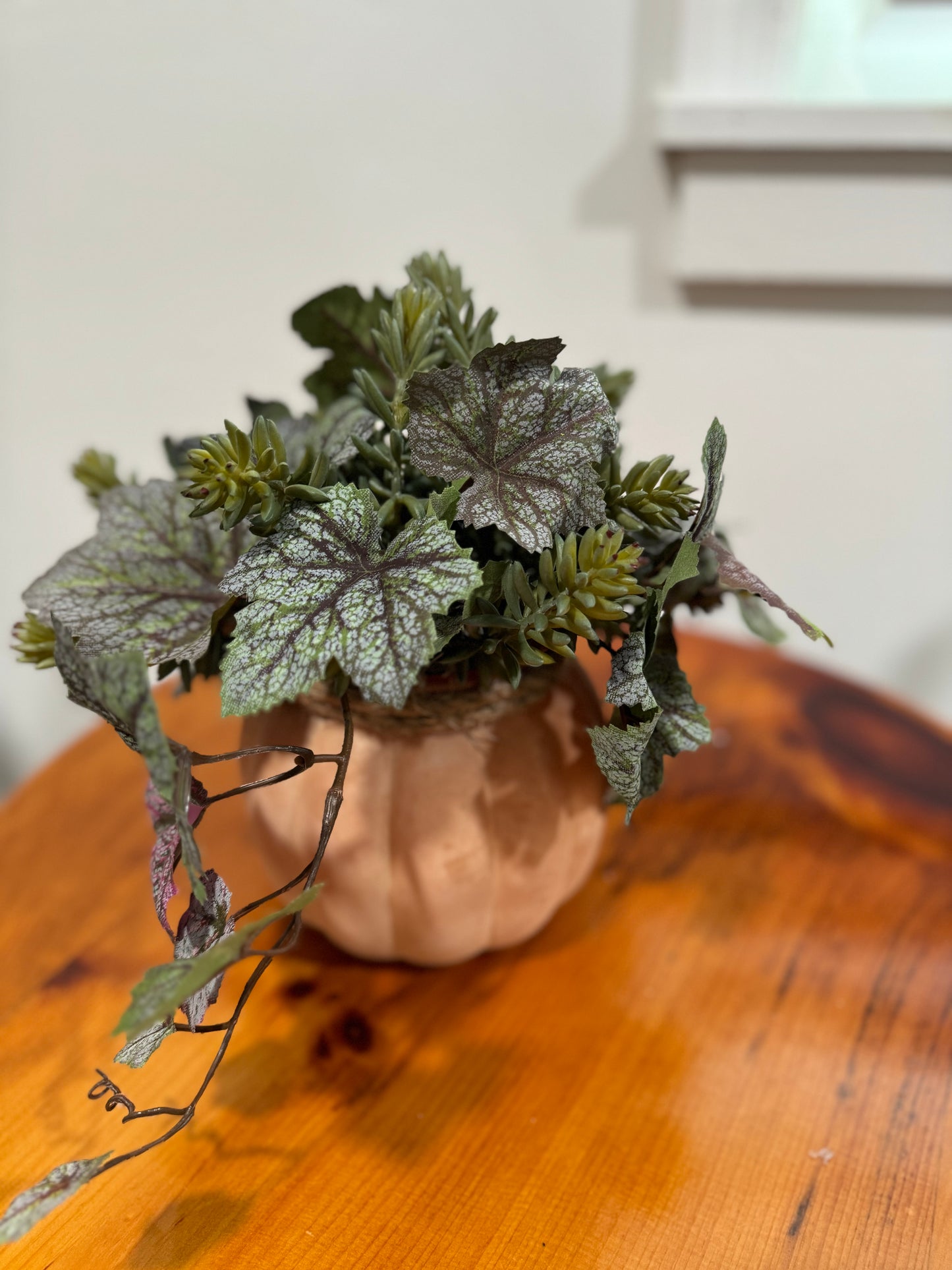 Succulents and Greens in Frosted Pumpkin