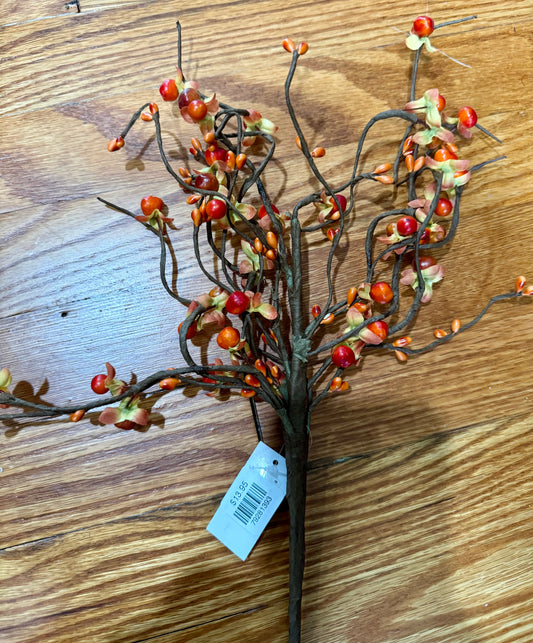 Bittersweet Berry Bush