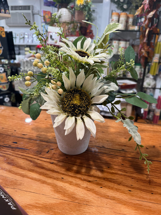 SUNFLOWER/EUC/BERRY POTTED