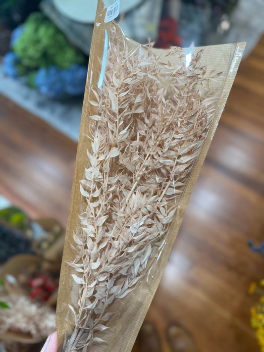 Preserved Ruscus