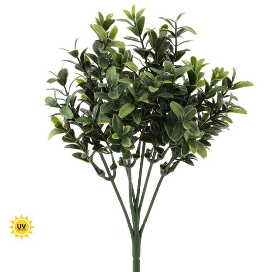 Deluxe Boxwood Pick (UV Treated)