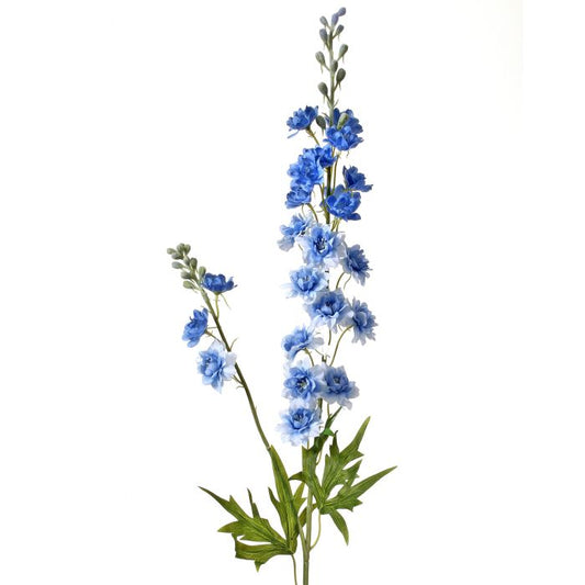 Garden Delphinium Spray