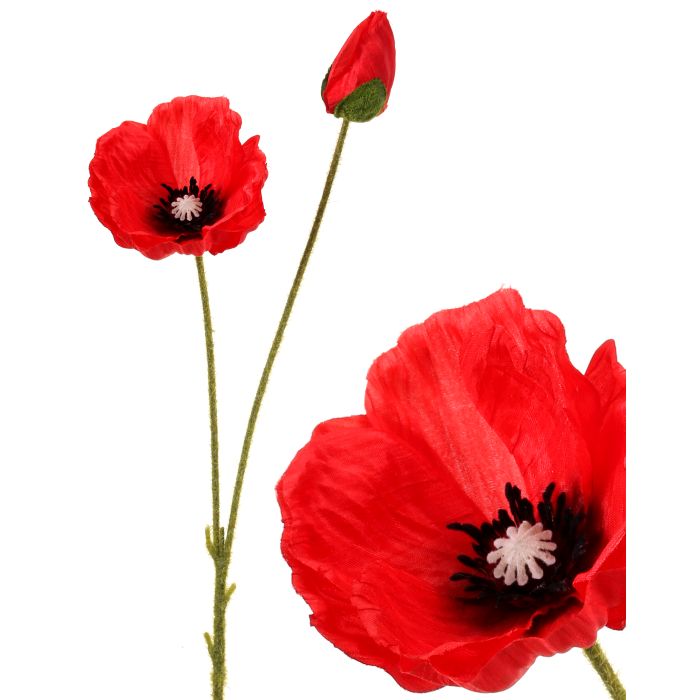 SUMMER POPPY + BUD 29"
