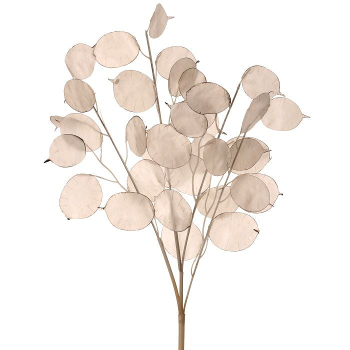 Lunaria Spray