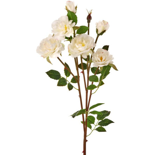 Just Cut Rambling Rose 24"