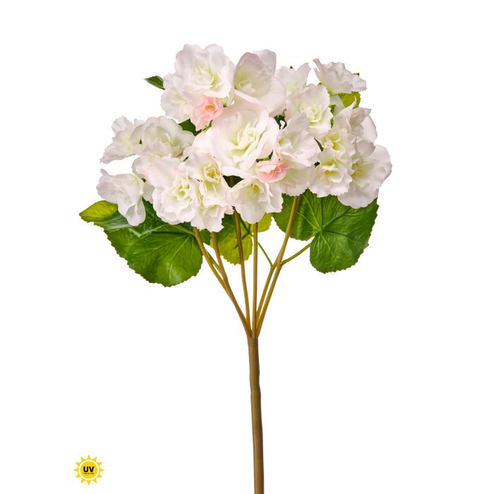 Natural Touch UV Safe Reiger Begonia Plant
