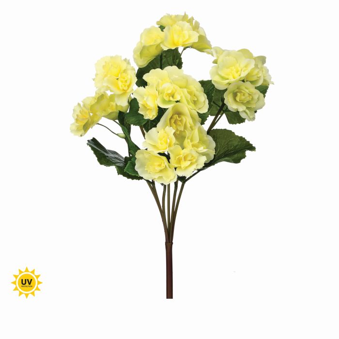 Natural Touch UV Safe Reiger Begonia Plant