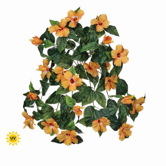 UV Hanging Hibiscus Plant
